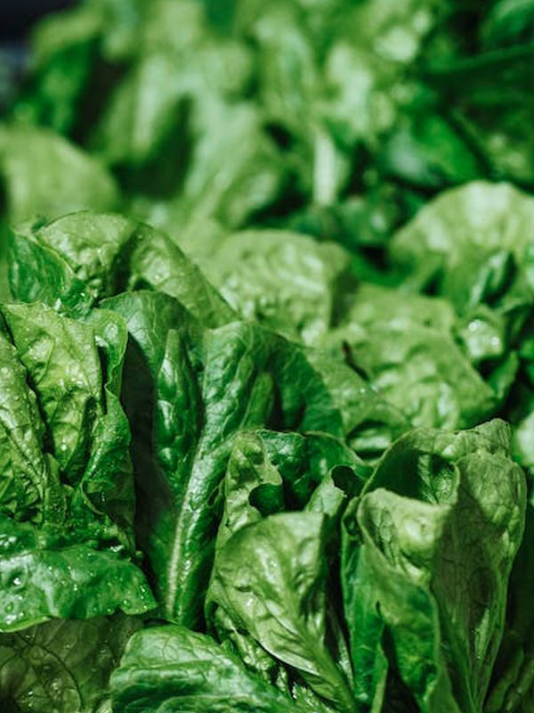 Leafy Greens